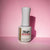 Non Wipe Top Coat